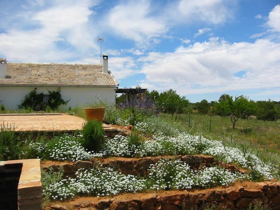 Gran Casa, Lagunas De Ruidera, Bbq, Porche, Chimenea Exterior foto